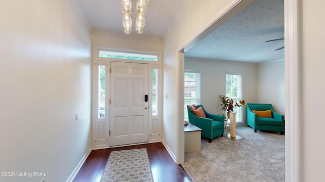 foyer entrance featuring a textured ceiling, dark hardwood / wood-style flooring, and crown molding