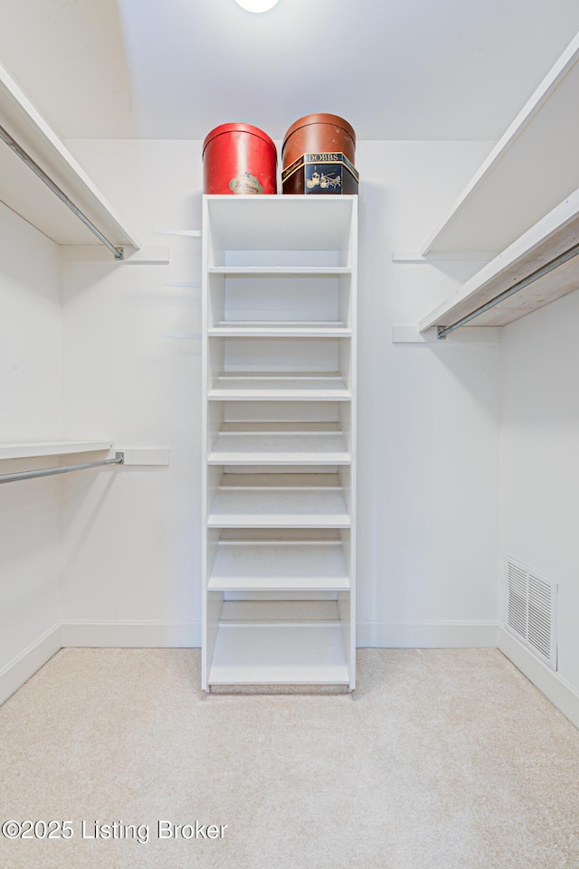 view of spacious closet