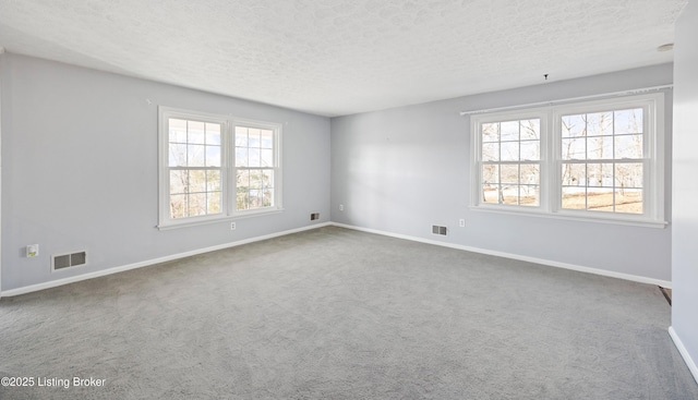 empty room featuring a textured ceiling, carpet floors, and a healthy amount of sunlight