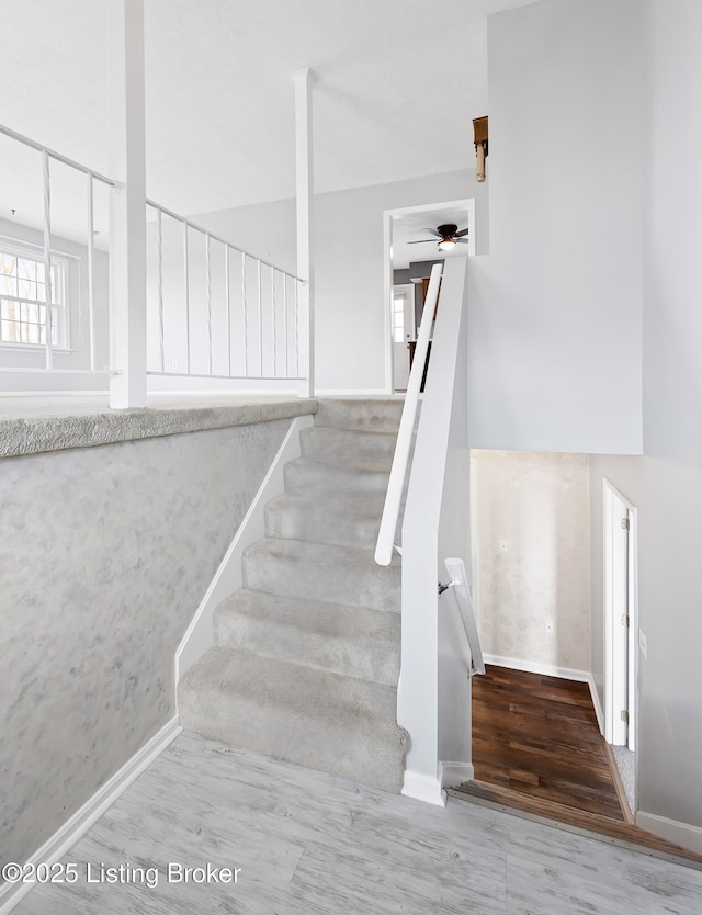 stairway featuring hardwood / wood-style floors and ceiling fan