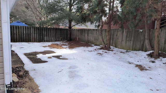 view of yard covered in snow