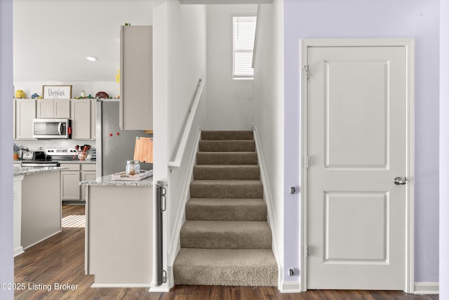 stairway with hardwood / wood-style flooring