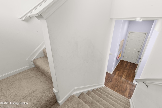 staircase with carpet floors