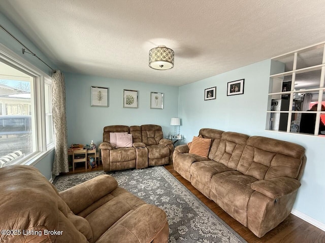 living room with wood-type flooring and a textured ceiling