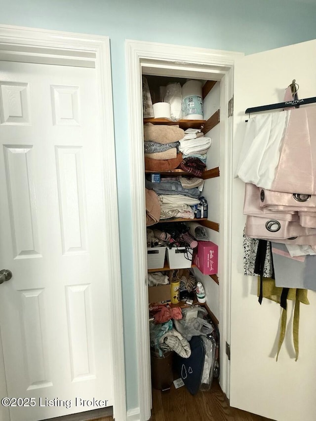 view of closet