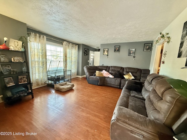 living room featuring hardwood / wood-style flooring and a textured ceiling