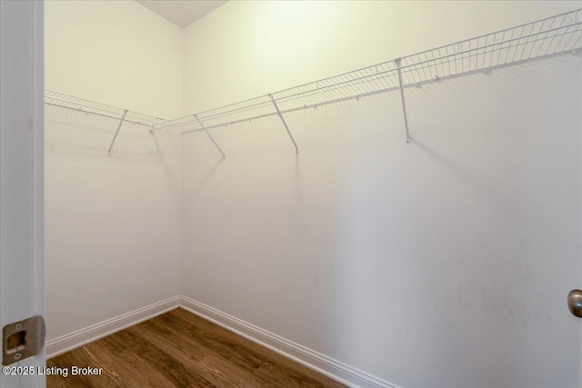 spacious closet featuring hardwood / wood-style floors