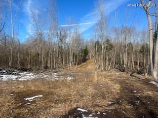 0 Smallhouse Rd, Centertown KY, 42328 land for sale