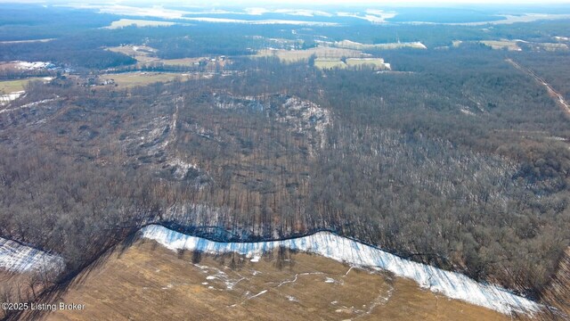 0 Smallhouse Rd, Centertown, KY 42328 - photo 2
