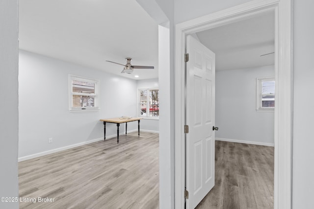 hall featuring light hardwood / wood-style floors and a healthy amount of sunlight