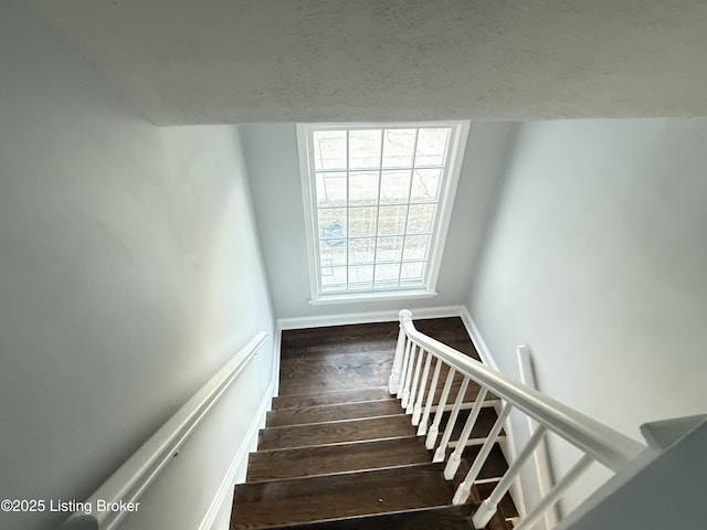 staircase with hardwood / wood-style floors