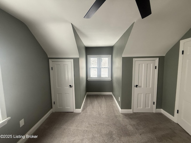 additional living space featuring vaulted ceiling and carpet