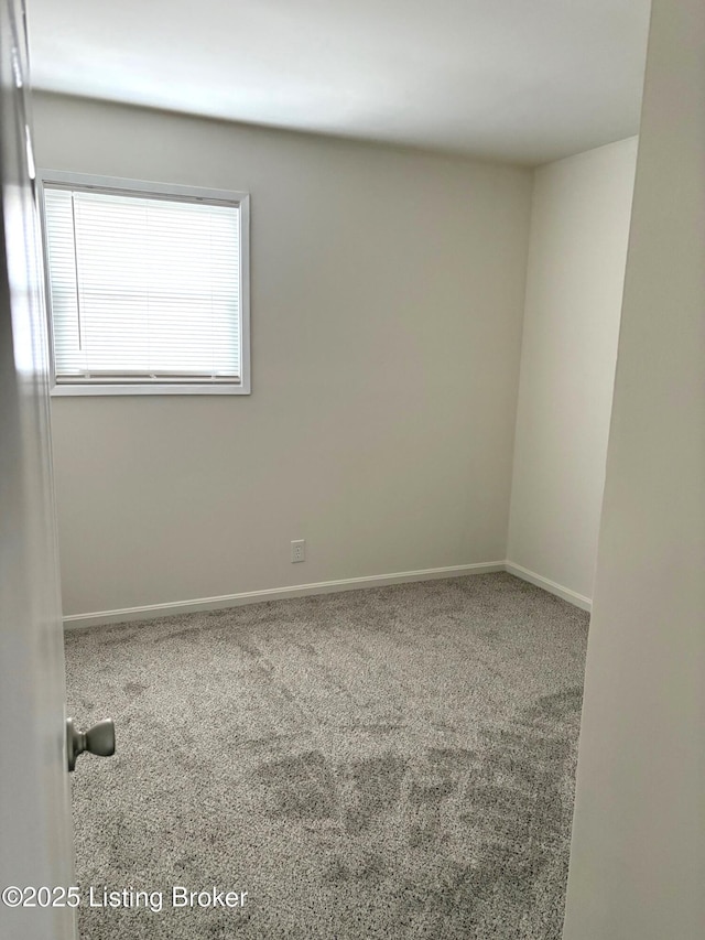 spare room featuring carpet