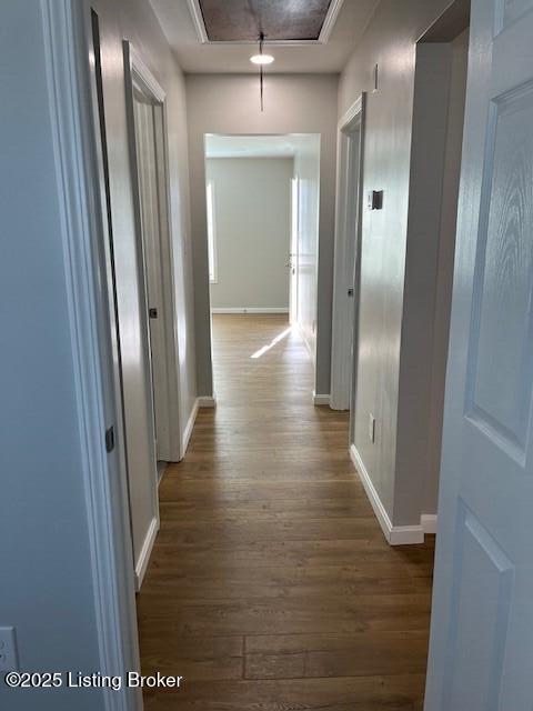 hallway with dark wood-type flooring