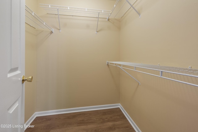 spacious closet with hardwood / wood-style floors