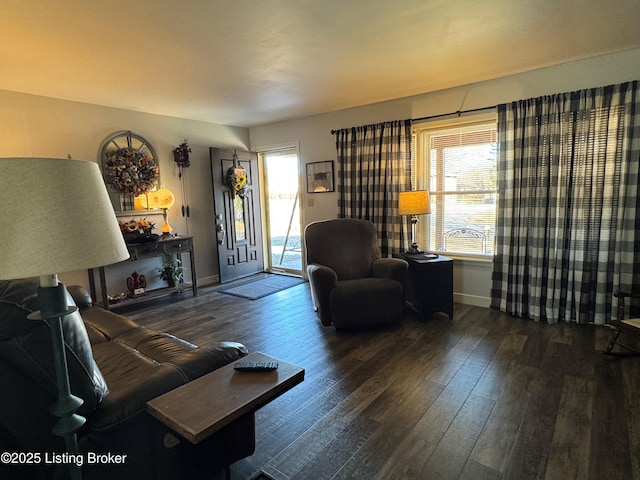 living room with dark hardwood / wood-style flooring