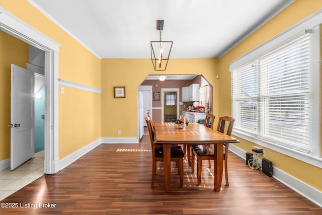 dining area featuring dark hardwood / wood-style flooring