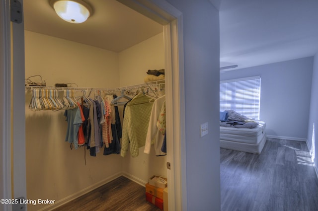 walk in closet with dark hardwood / wood-style floors