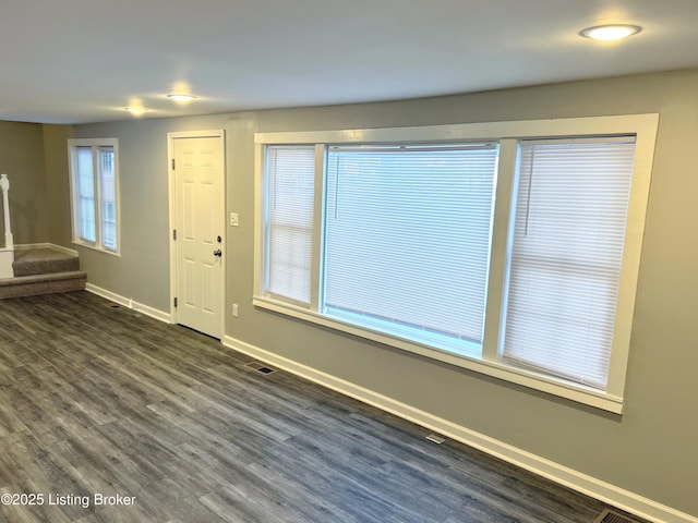 entrance foyer featuring dark wood-type flooring