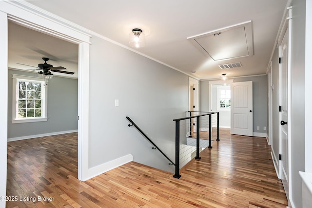 hallway featuring hardwood / wood-style flooring and ornamental molding