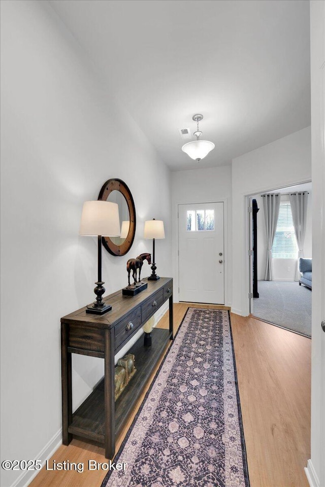 foyer entrance with wood-type flooring