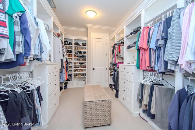 walk in closet with light carpet