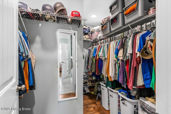 walk in closet with hardwood / wood-style flooring