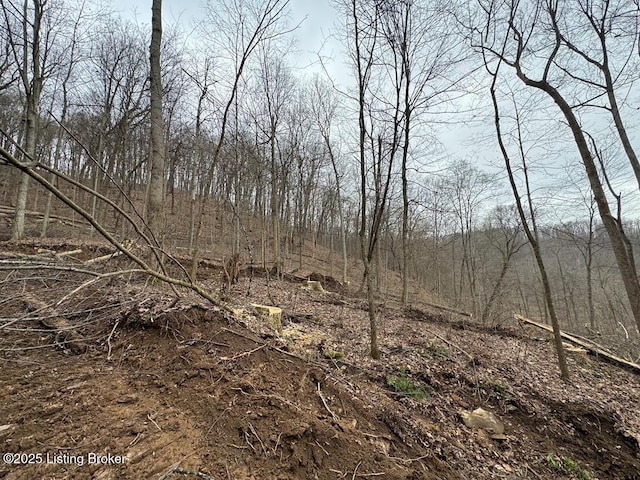 0 Hardwood Rd, Wallingford, KY 41093