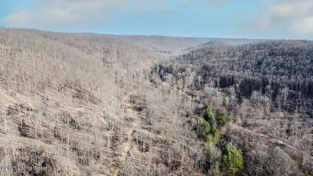0 Hardwood Rd, Wallingford, KY 41093