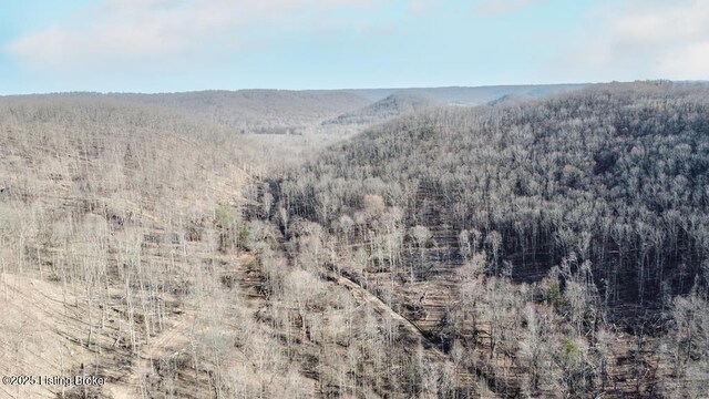 0 Hardwood Rd, Wallingford, KY 41093