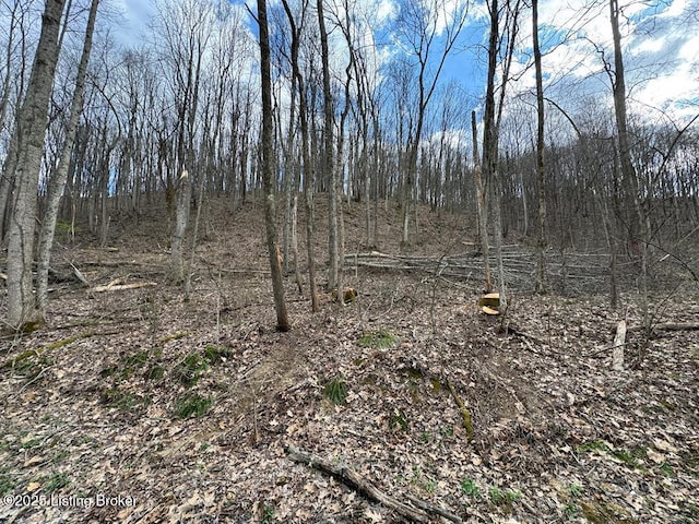 0 Hardwood Rd, Wallingford, KY 41093