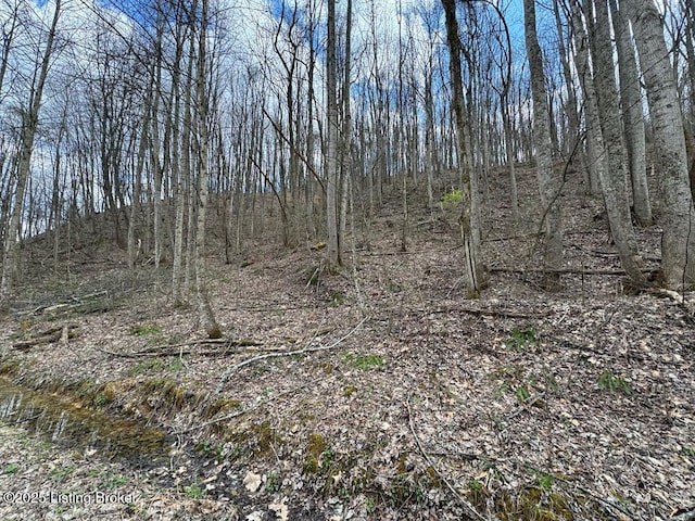 0 Hardwood Rd, Wallingford, KY 41093