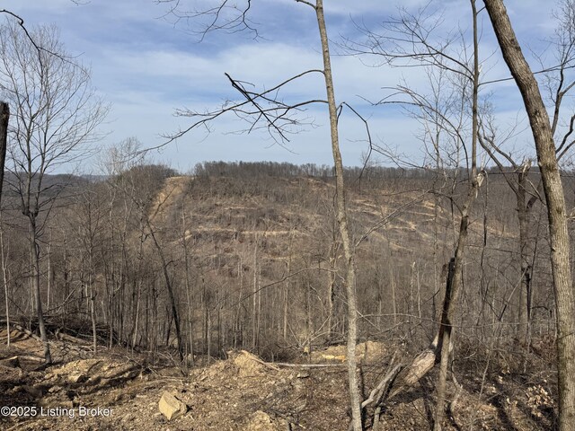 0 Hardwood Rd, Wallingford, KY 41093