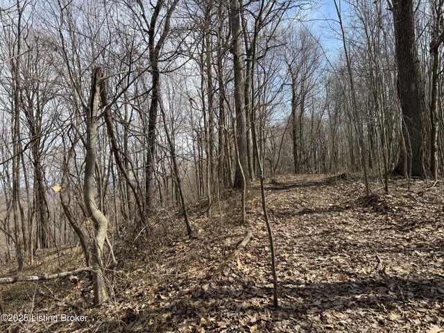 0 Hardwood Rd, Wallingford, KY 41093