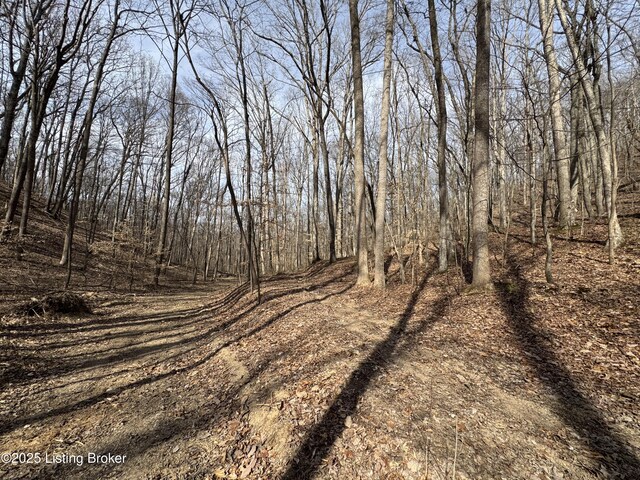 0 Hardwood Rd, Wallingford, KY 41093