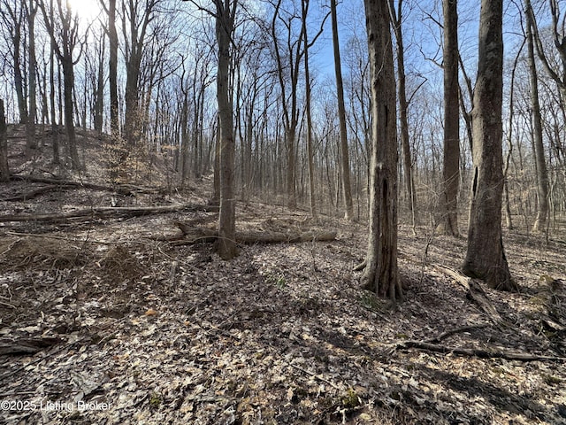 0 Hardwood Rd, Wallingford, KY 41093