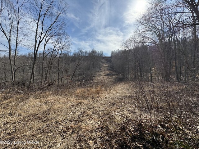 0 Hardwood Rd, Wallingford, KY 41093