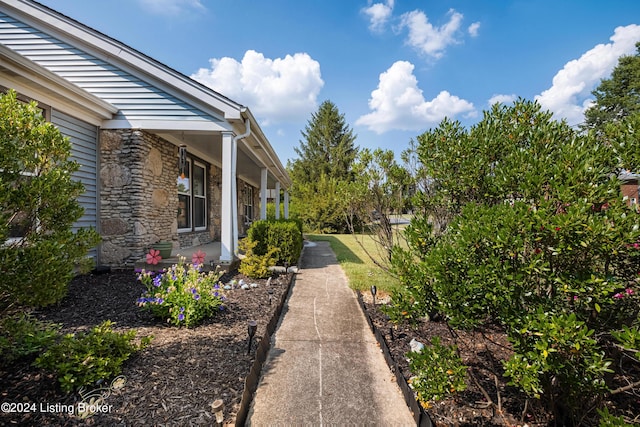 view of yard featuring a porch