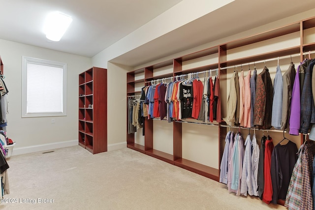 walk in closet featuring carpet flooring