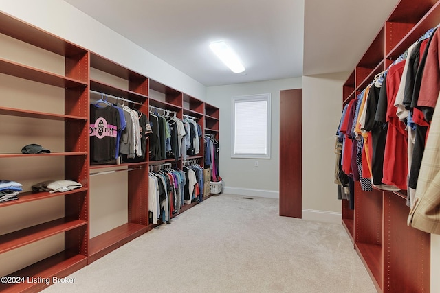 spacious closet with light carpet