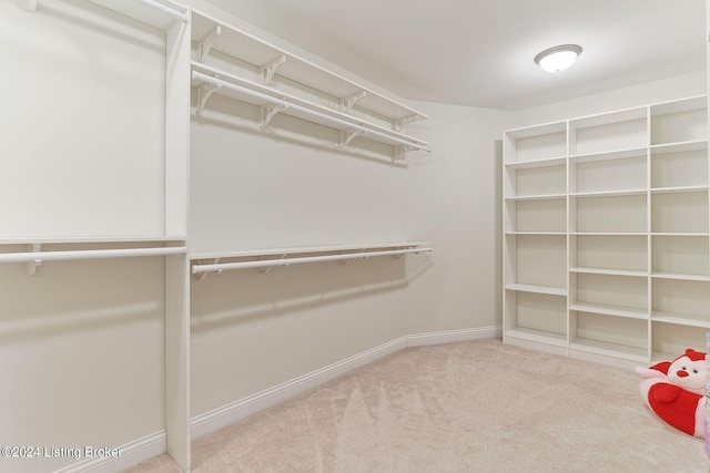 spacious closet with carpet floors