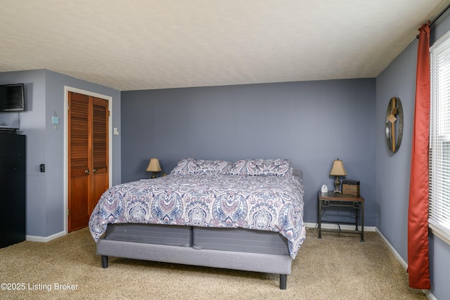 bedroom with carpet flooring and a closet