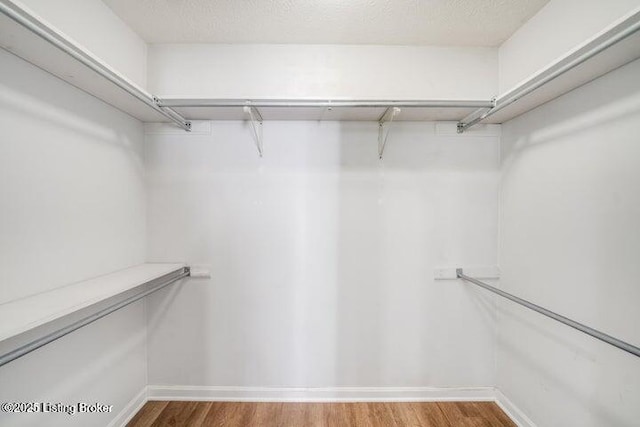 walk in closet with hardwood / wood-style floors