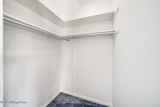 walk in closet featuring carpet flooring