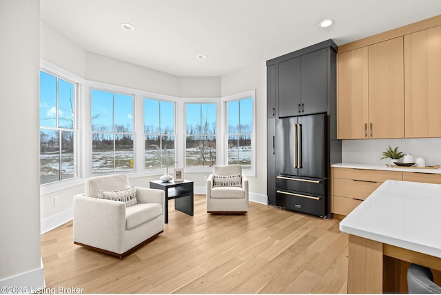 living area featuring light hardwood / wood-style floors