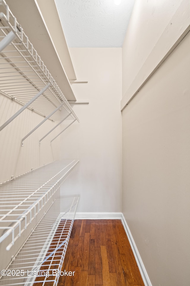 walk in closet with hardwood / wood-style flooring