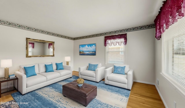 living room with hardwood / wood-style flooring