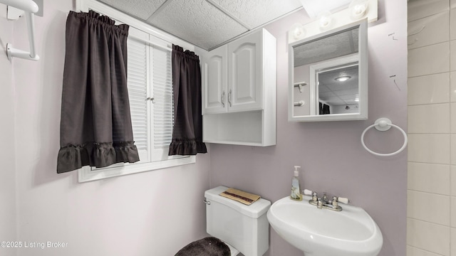 bathroom featuring sink, a paneled ceiling, and toilet