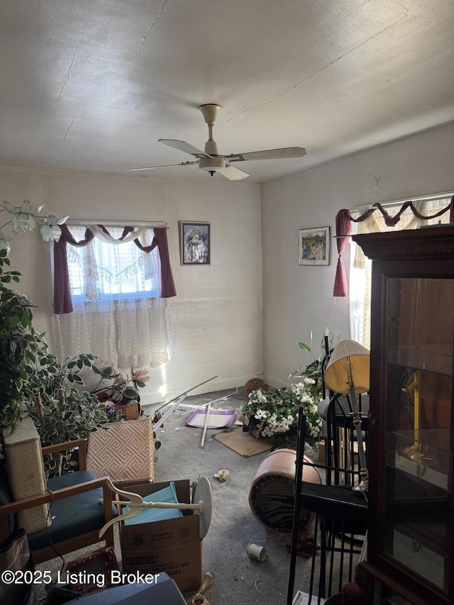 dining room featuring carpet and ceiling fan