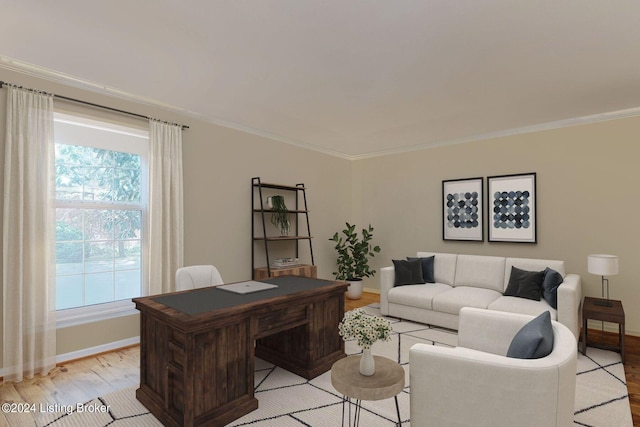 office featuring ornamental molding, light hardwood / wood-style floors, and a wealth of natural light